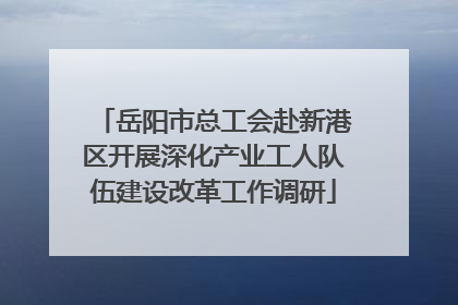 岳阳市总工会赴新港区开展深化产业工人队伍建设改革工作调研
